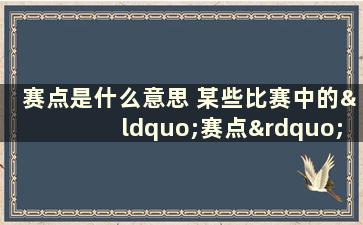 赛点是什么意思 某些比赛中的“赛点”怎么理解这赛点是什么东西